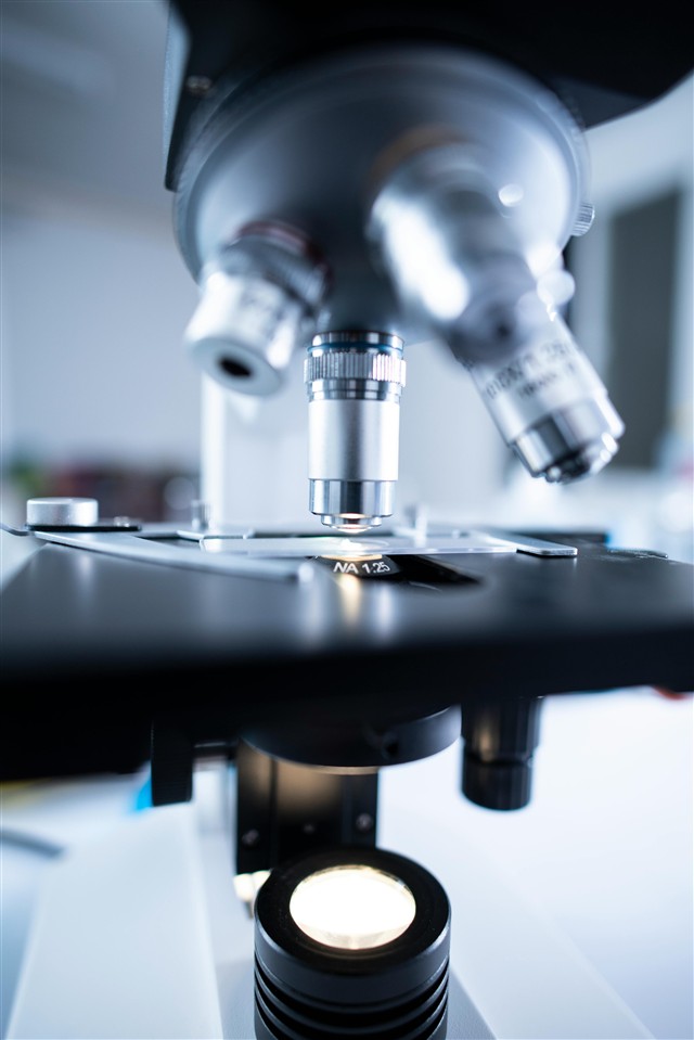 Application of Biotechnology In Industry