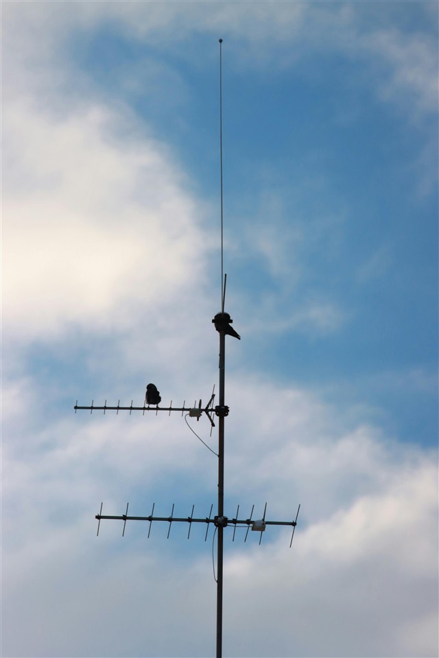 Application of Yagi Uda Antenna
