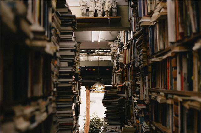 how-are-ebooks-used-for-digital-reading-on-various-devices