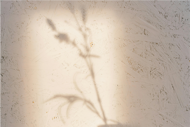 how-does-fleet-management-software-track-driver-behavior