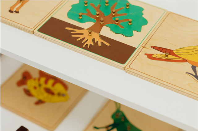 how-is-a-bicycle-used-for-outdoor-exercise-and-recreation