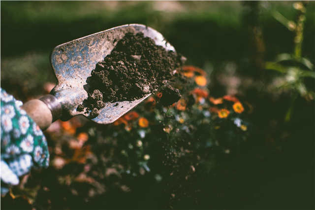 How is a garden fork used for turning soil and aerating the ground?