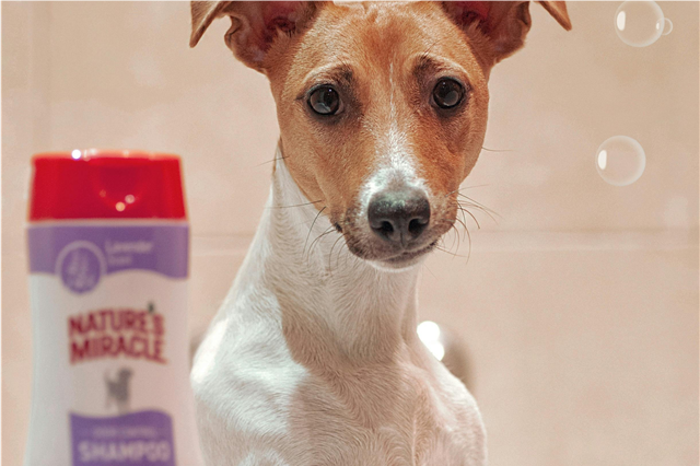 How is a pet deodorizer used to neutralize odors in pet areas?