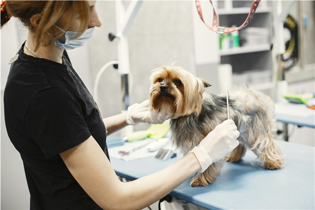 How is a pet GPS tracker used to locate lost pets?