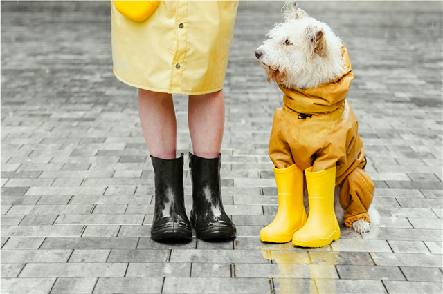 What are the benefits of PPE in emergency medical services