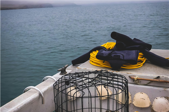 What are the benefits of using marine propellers in providing thrust for vessels?