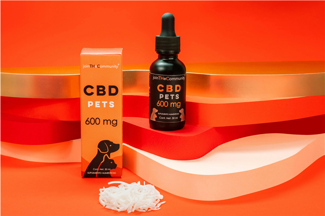 What are the common uses of dog shampoos in pet grooming?